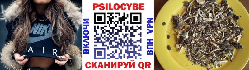 Галлюциногенные грибы Cubensis  Курган 