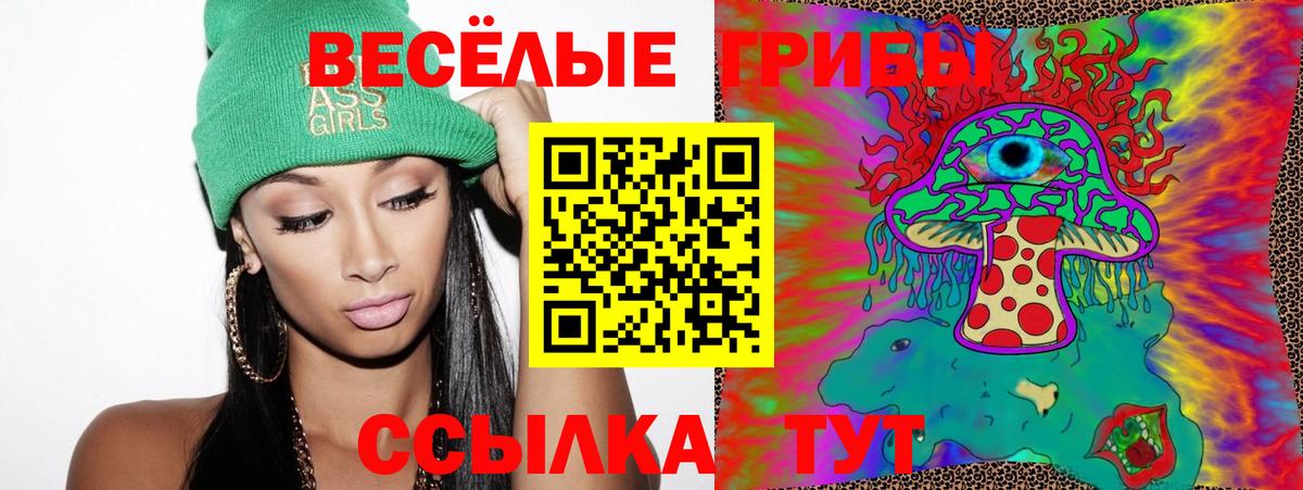 Галлюциногенные грибы MAGIC MUSHROOMS Курган