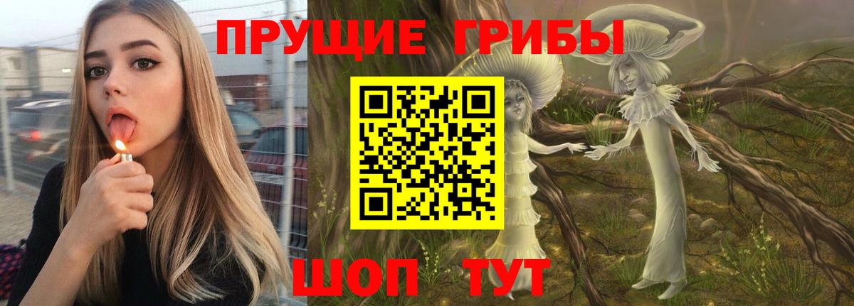 Курган  Псилоцибиновые грибы Psilocybine cubensis  Вход с VPN  Галлюциногенные грибы Psilocybe 